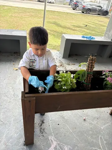 Niño trasplantando flores en la jardinera de madera
