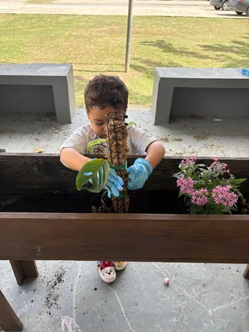 Niño acomodando una planta trepadora en el jardín