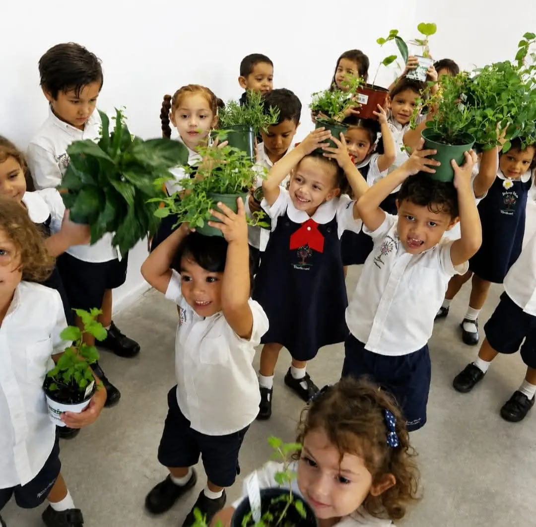 Niños sosteniendo plantas durante una actividad escolar